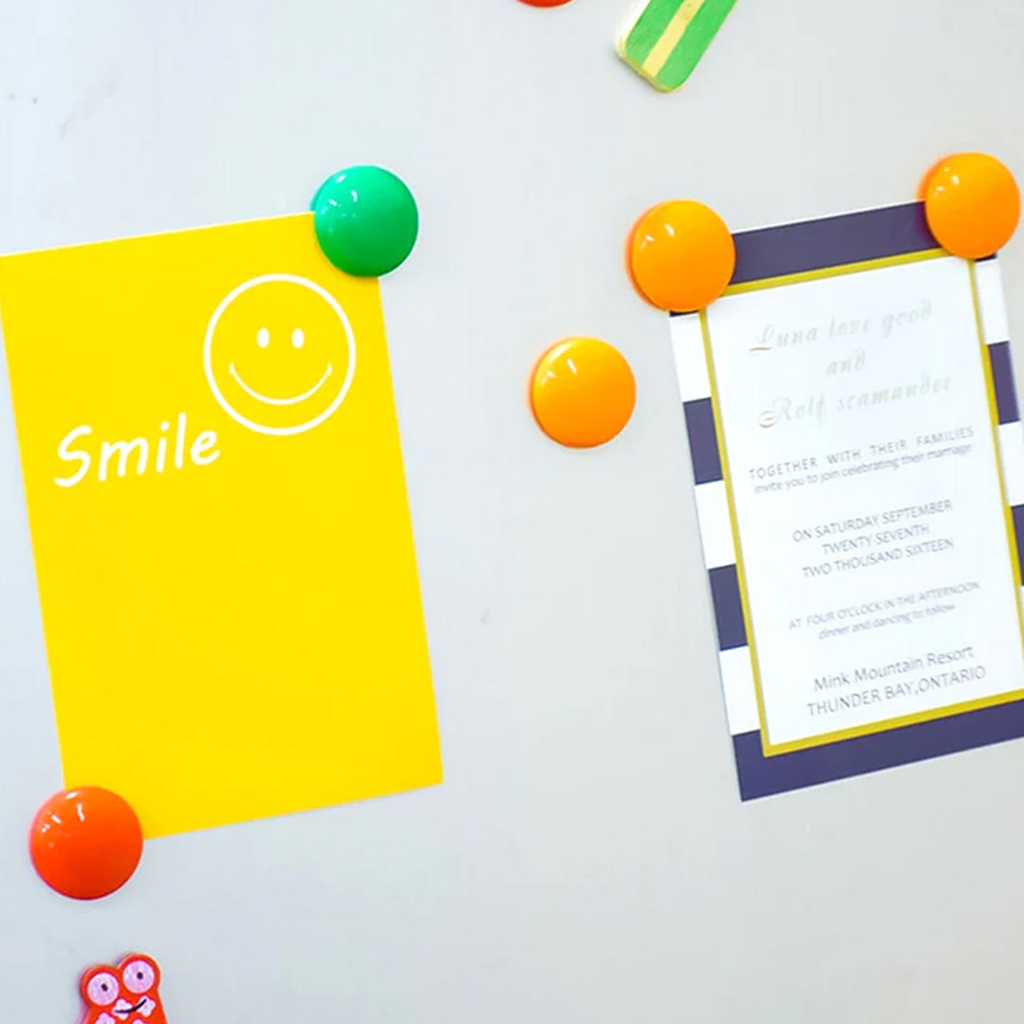 Green Board Magnets Circular Plastic Buttons (1 Pc)